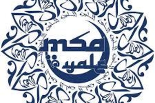 Yale MSA Logo